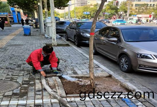 七(qi)裏河(he)區(qu)園(yuan)林(lin)綠化(hua)所(suo)全(quan)麵(mian)開(kai)展(zhan)鞦(qiu)季(ji)苗(miao)木(mu)補栽(zai)工作